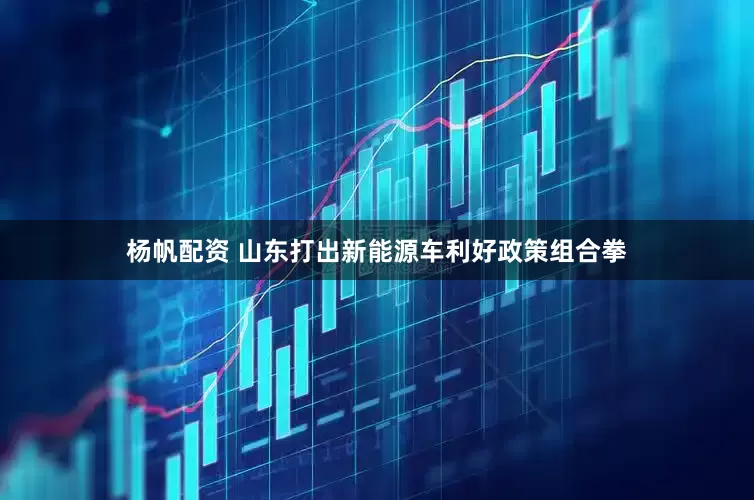 杨帆配资 山东打出新能源车利好政策组合拳