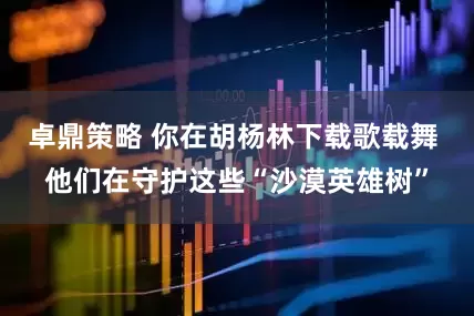 卓鼎策略 你在胡杨林下载歌载舞 他们在守护这些“沙漠英雄树”