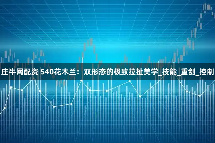庄牛网配资 S40花木兰：双形态的极致拉扯美学_技能_重剑_控制