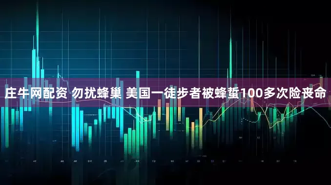 庄牛网配资 勿扰蜂巢 美国一徒步者被蜂蜇100多次险丧命
