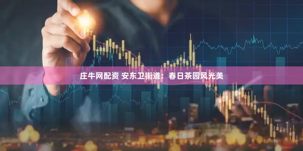 庄牛网配资 安东卫街道：春日茶园风光美